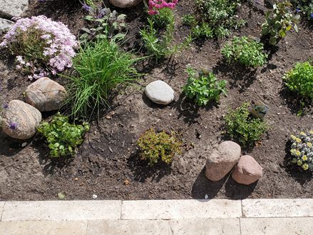 Photo_client_Grlitz_bordures_de_terrasse